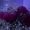 yeseniar5567